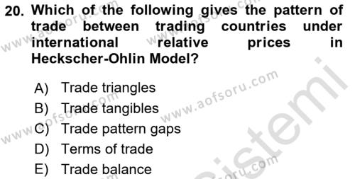 Foreign Trade Dersi 2023 - 2024 Yılı (Vize) Ara Sınavı 20. Soru