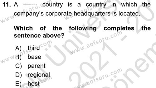 International Business Dersi 2021 - 2022 Yılı (Final) Dönem Sonu Sınavı 11. Soru