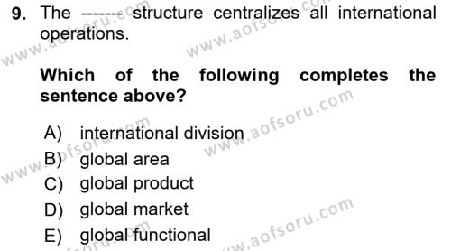 International Business Dersi 2021 - 2022 Yılı (Final) Dönem Sonu Sınavı 9. Soru