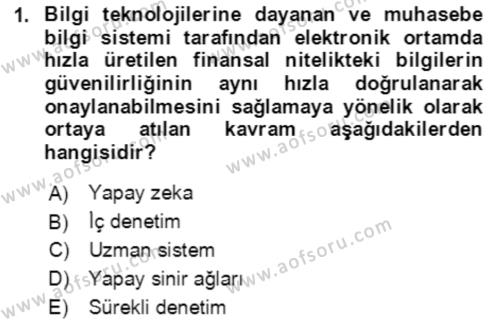 Denetim Dersi 2022 - 2023 Yılı Yaz Okulu Sınavı 1. Soru