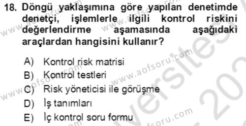 Denetim Dersi 2022 - 2023 Yılı Yaz Okulu Sınavı 18. Soru