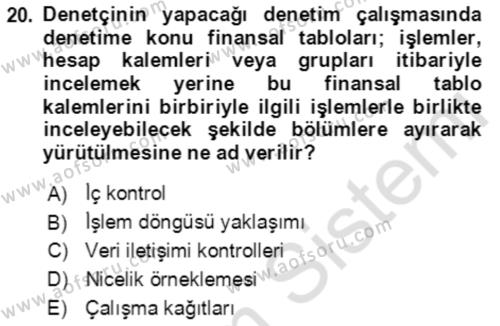 Denetim Dersi 2022 - 2023 Yılı Yaz Okulu Sınavı 20. Soru