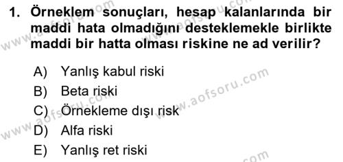 Denetim Dersi 2023 - 2024 Yılı Yaz Okulu Sınavı 1. Soru