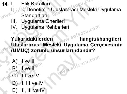 Denetim Dersi 2023 - 2024 Yılı Yaz Okulu Sınavı 14. Soru