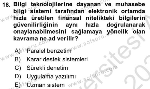 Denetim Dersi 2023 - 2024 Yılı Yaz Okulu Sınavı 18. Soru