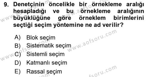 Denetim Dersi 2023 - 2024 Yılı Yaz Okulu Sınavı 9. Soru