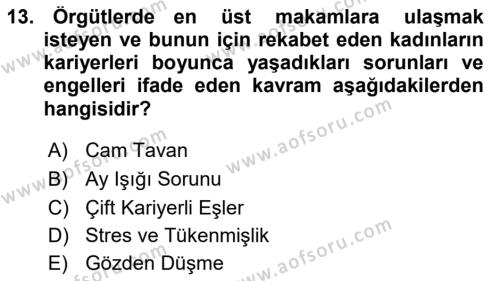 İnsan Kaynakları Yönetimi Dersi 2020 - 2021 Yılı Yaz Okulu Sınavı 13. Soru