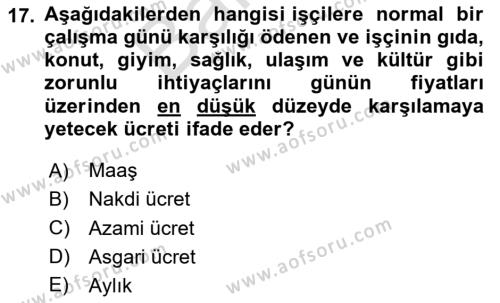 İnsan Kaynakları Yönetimi Dersi 2023 - 2024 Yılı (Final) Dönem Sonu Sınavı 17. Soru