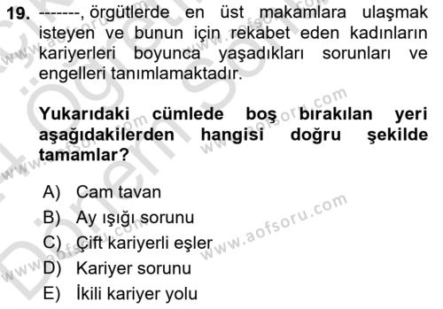 İnsan Kaynakları Yönetimi Dersi 2023 - 2024 Yılı (Final) Dönem Sonu Sınavı 19. Soru