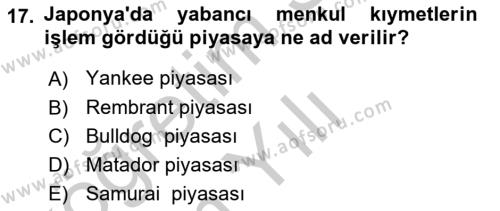 Sermaye Piyasaları ve Finansal Kurumlar Dersi 2018 - 2019 Yılı Yaz Okulu Sınavı 17. Soru