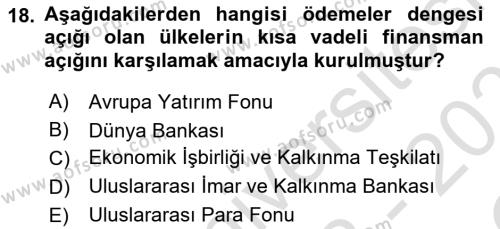 Sermaye Piyasaları ve Finansal Kurumlar Dersi 2022 - 2023 Yılı Yaz Okulu Sınavı 18. Soru