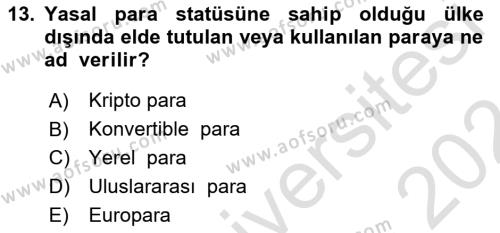 Sermaye Piyasaları ve Finansal Kurumlar Dersi 2023 - 2024 Yılı (Final) Dönem Sonu Sınavı 13. Soru