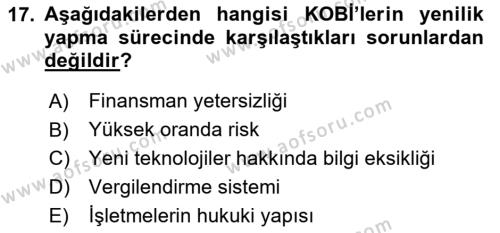 Yenilik Yönetimi Dersi 2020 - 2021 Yılı Yaz Okulu Sınavı 17. Soru