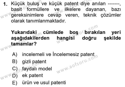 Yenilik Yönetimi Dersi 2021 - 2022 Yılı Yaz Okulu Sınavı 1. Soru