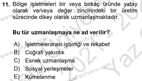 Yenilik Yönetimi Dersi 2021 - 2022 Yılı Yaz Okulu Sınavı 11. Soru