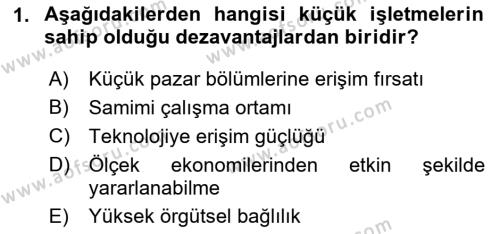 Küçük İşletme Yönetimi Dersi 2023 - 2024 Yılı (Final) Dönem Sonu Sınavı 1. Soru