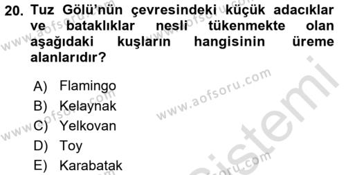 Türkiye´nin Kültürel Mirası 1 Dersi 2023 - 2024 Yılı (Vize) Ara Sınavı 20. Soru