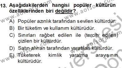 Turistik Alanlarda Mekan Tasarımı Dersi 2013 - 2014 Yılı (Final) Dönem Sonu Sınavı 13. Soru