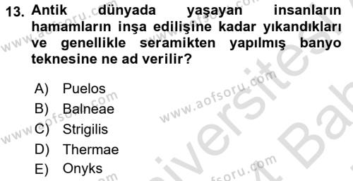 Termal ve Spa Hizmetleri Dersi 2023 - 2024 Yılı (Vize) Ara Sınavı 13. Soru