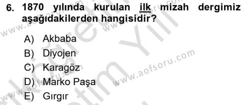 Kültür Tarihi Dersi 2020 - 2021 Yılı Yaz Okulu Sınavı 6. Soru