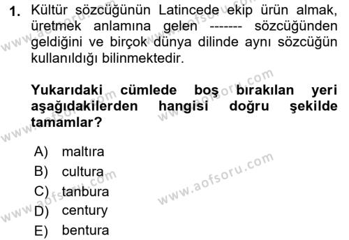 Kültür Tarihi Dersi 2022 - 2023 Yılı Yaz Okulu Sınavı 1. Soru