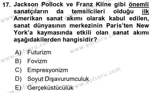 Görsel Kültür Dersi 2023 - 2024 Yılı (Vize) Ara Sınavı 17. Soru