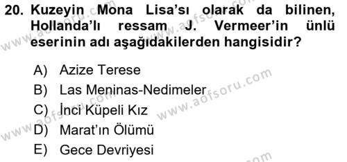 Görsel Kültür Dersi 2023 - 2024 Yılı (Vize) Ara Sınavı 20. Soru