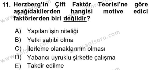 Yönetim Bilimi 1 Dersi 2021 - 2022 Yılı (Vize) Ara Sınavı 11. Soru