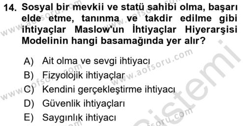 Yönetim Bilimi 1 Dersi 2023 - 2024 Yılı (Final) Dönem Sonu Sınavı 14. Soru