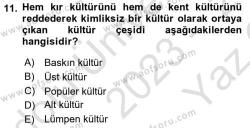 Kentleşme ve Konut Politikaları Dersi 2023 - 2024 Yılı Yaz Okulu Sınavı 11. Soru