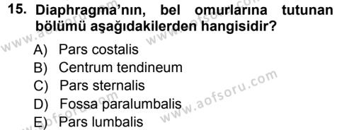 Temel Veteriner Anatomi Dersi 2012 - 2013 Yılı (Vize) Ara Sınavı 15. Soru