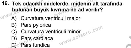 Temel Veteriner Anatomi Dersi 2012 - 2013 Yılı (Vize) Ara Sınavı 16. Soru