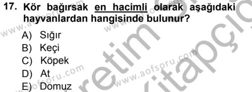 Temel Veteriner Anatomi Dersi 2012 - 2013 Yılı (Vize) Ara Sınavı 17. Soru