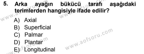 Temel Veteriner Anatomi Dersi 2012 - 2013 Yılı (Vize) Ara Sınavı 5. Soru