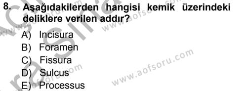 Temel Veteriner Anatomi Dersi 2012 - 2013 Yılı (Vize) Ara Sınavı 8. Soru