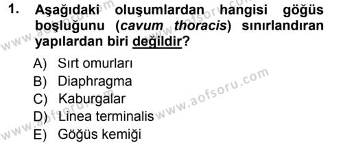 Temel Veteriner Anatomi Dersi 2012 - 2013 Yılı (Final) Dönem Sonu Sınavı 1. Soru
