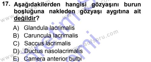 Temel Veteriner Anatomi Dersi 2012 - 2013 Yılı (Final) Dönem Sonu Sınavı 17. Soru