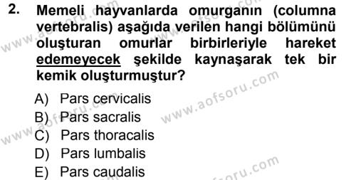 Temel Veteriner Anatomi Dersi 2012 - 2013 Yılı (Final) Dönem Sonu Sınavı 2. Soru