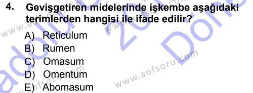Temel Veteriner Anatomi Dersi 2012 - 2013 Yılı (Final) Dönem Sonu Sınavı 4. Soru