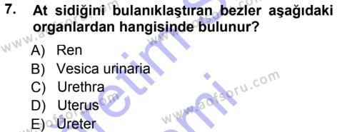 Temel Veteriner Anatomi Dersi 2012 - 2013 Yılı (Final) Dönem Sonu Sınavı 7. Soru