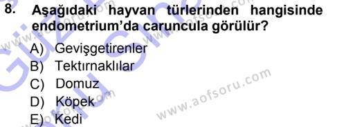 Temel Veteriner Anatomi Dersi 2012 - 2013 Yılı (Final) Dönem Sonu Sınavı 8. Soru