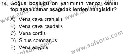 Temel Veteriner Anatomi Dersi 2012 - 2013 Yılı Tek Ders Sınavı 14. Soru