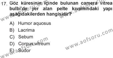 Temel Veteriner Anatomi Dersi 2012 - 2013 Yılı Tek Ders Sınavı 17. Soru