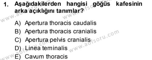 Temel Veteriner Anatomi Dersi 2013 - 2014 Yılı (Vize) Ara Sınavı 1. Soru