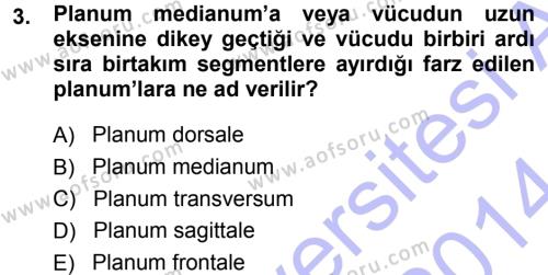 Temel Veteriner Anatomi Dersi 2013 - 2014 Yılı (Vize) Ara Sınavı 3. Soru