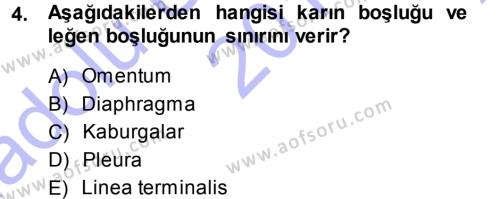 Temel Veteriner Anatomi Dersi 2013 - 2014 Yılı (Vize) Ara Sınavı 4. Soru