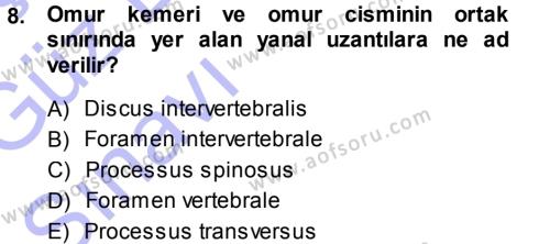 Temel Veteriner Anatomi Dersi 2013 - 2014 Yılı (Vize) Ara Sınavı 8. Soru