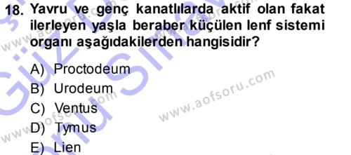 Temel Veteriner Anatomi Dersi 2013 - 2014 Yılı (Final) Dönem Sonu Sınavı 18. Soru