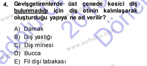Temel Veteriner Anatomi Dersi 2013 - 2014 Yılı (Final) Dönem Sonu Sınavı 4. Soru