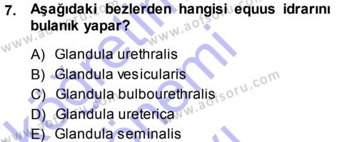 Temel Veteriner Anatomi Dersi 2013 - 2014 Yılı (Final) Dönem Sonu Sınavı 7. Soru